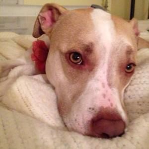 Meet your Posher, Kimmy